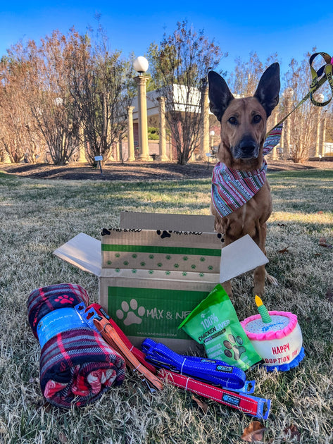 December 8, 2023 Donations List Max and Neo