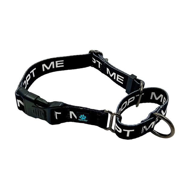 bulk martingale dog collars