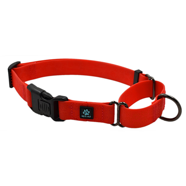 Waterproof Martingale Dog Collar Max and Neo