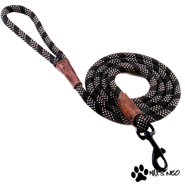 Reflective rope leash store