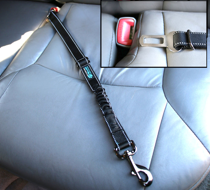 Seat Belt Bungee Harness Car Leash Max and Neo
