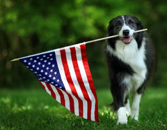 July 3, 2020 Donations List
