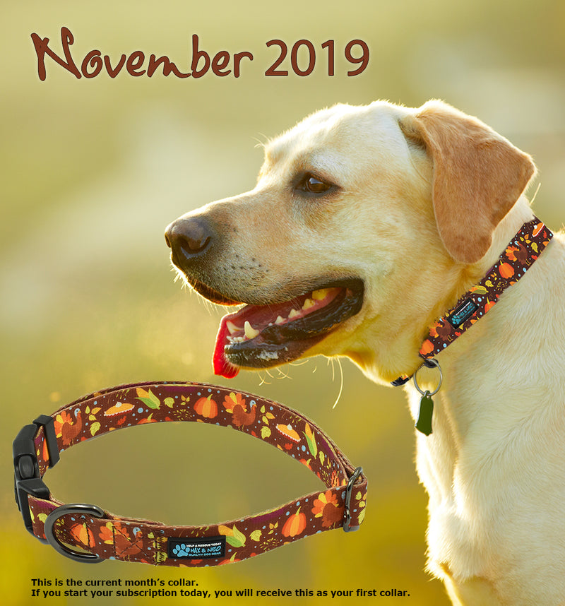 November 1, 2019 Donations List
