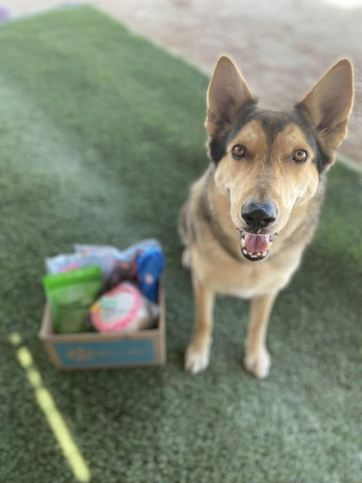 Max and Neo Donation News Page Max and Neo - Main Image