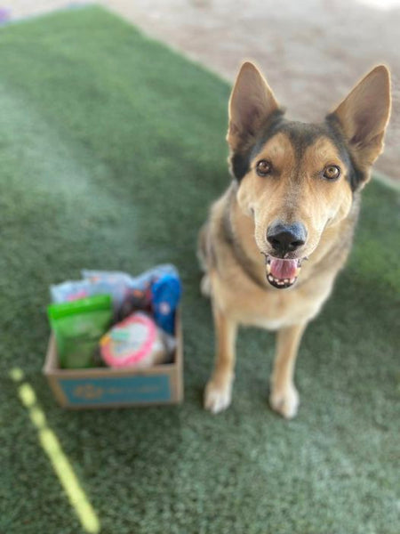 Max and Neo Donation News Page Max and Neo