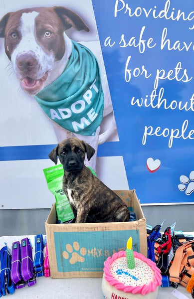 Max and Neo Donation News Page Max and Neo