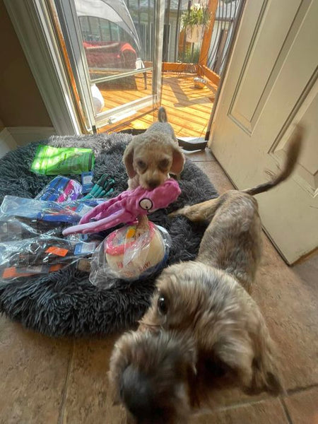 Max and Neo Donation News Page Max and Neo