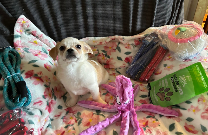 Max and Neo Donation News Page Max and Neo - Main Image