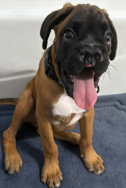 October 10, 2025 Donations List