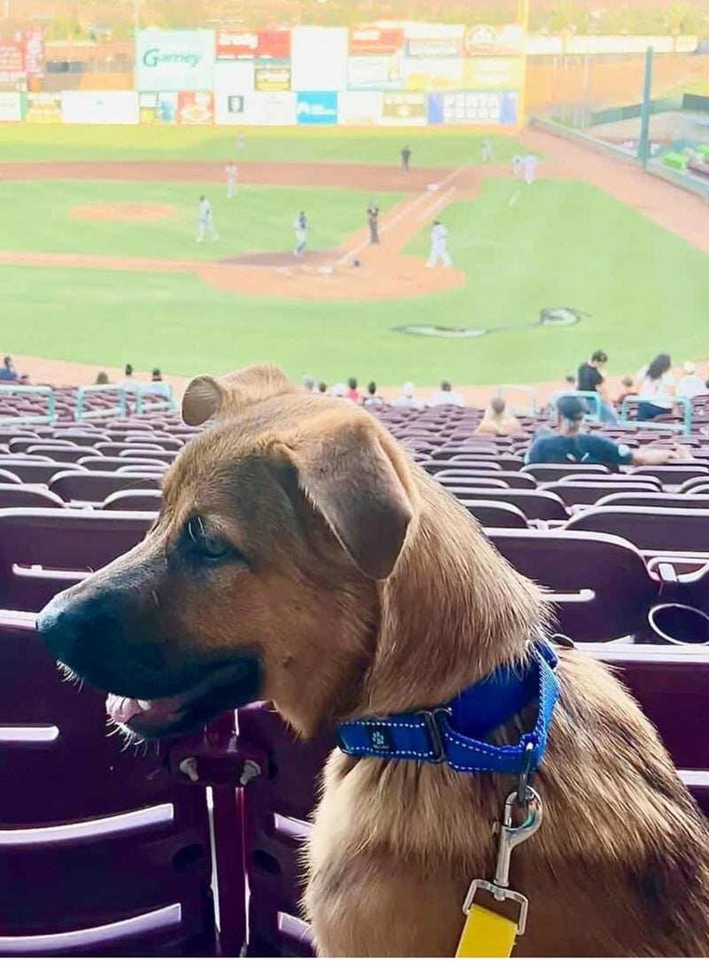 October 10, 2025 Donations List