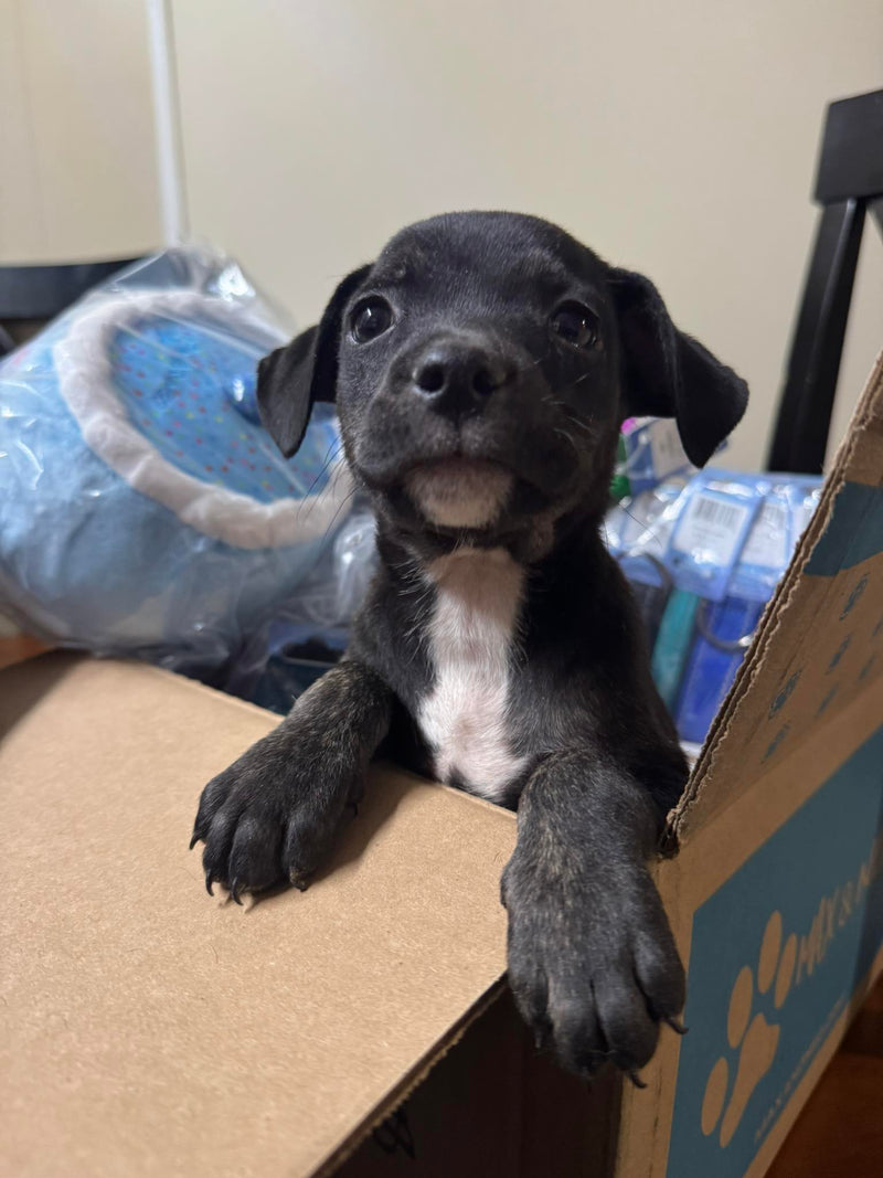 October 10, 2025 Donations List