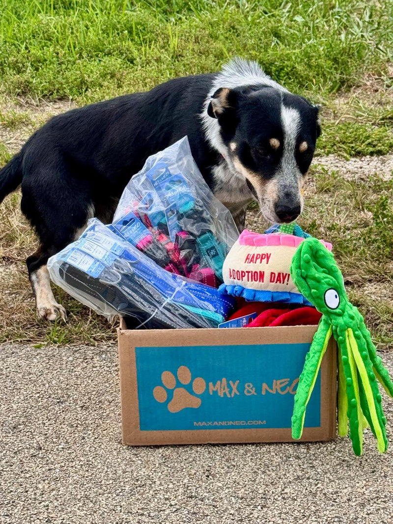 October 10, 2025 Donations List