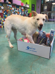 November 15, 2019 Donations List