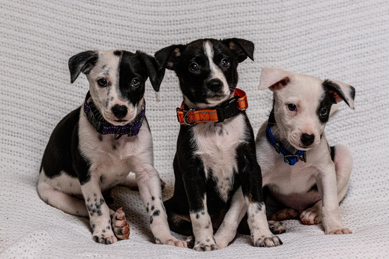 July 19, 2019 Donations List