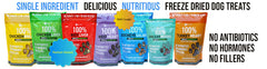 Bulk Cases Collars, Leashes, Toys and Bowls