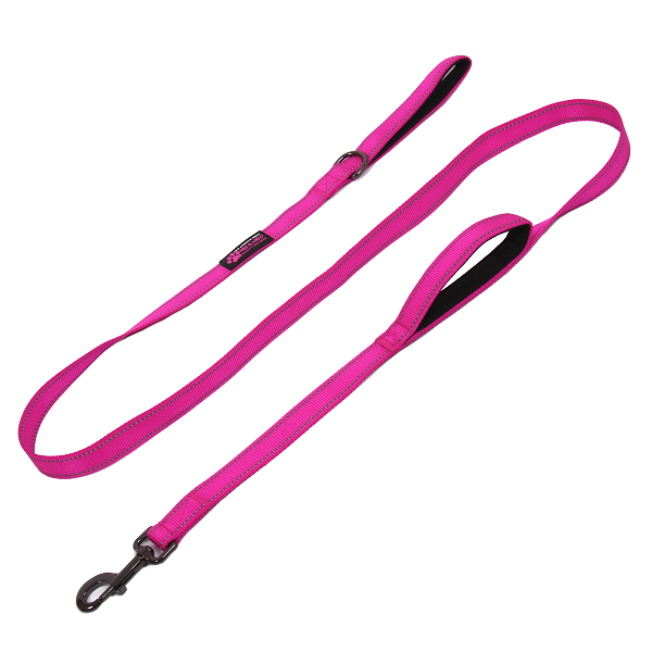 Bulk Cases Collars, Leashes, Toys and Bowls