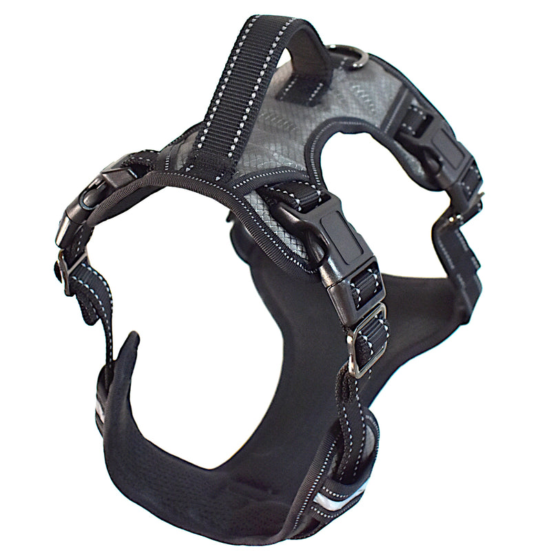 Bulk Cases Collars, Leashes, Toys and Bowls