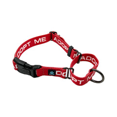 25 Pack - Mixed Color & Mixed Sizes ADOPT ME Nylon Martingale Collars