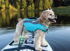 Dog Life Jacket (PFD)