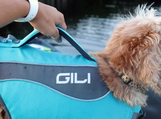 Dog Life Jacket (PFD)