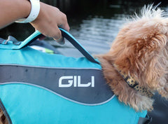 Dog Life Jacket (PFD)