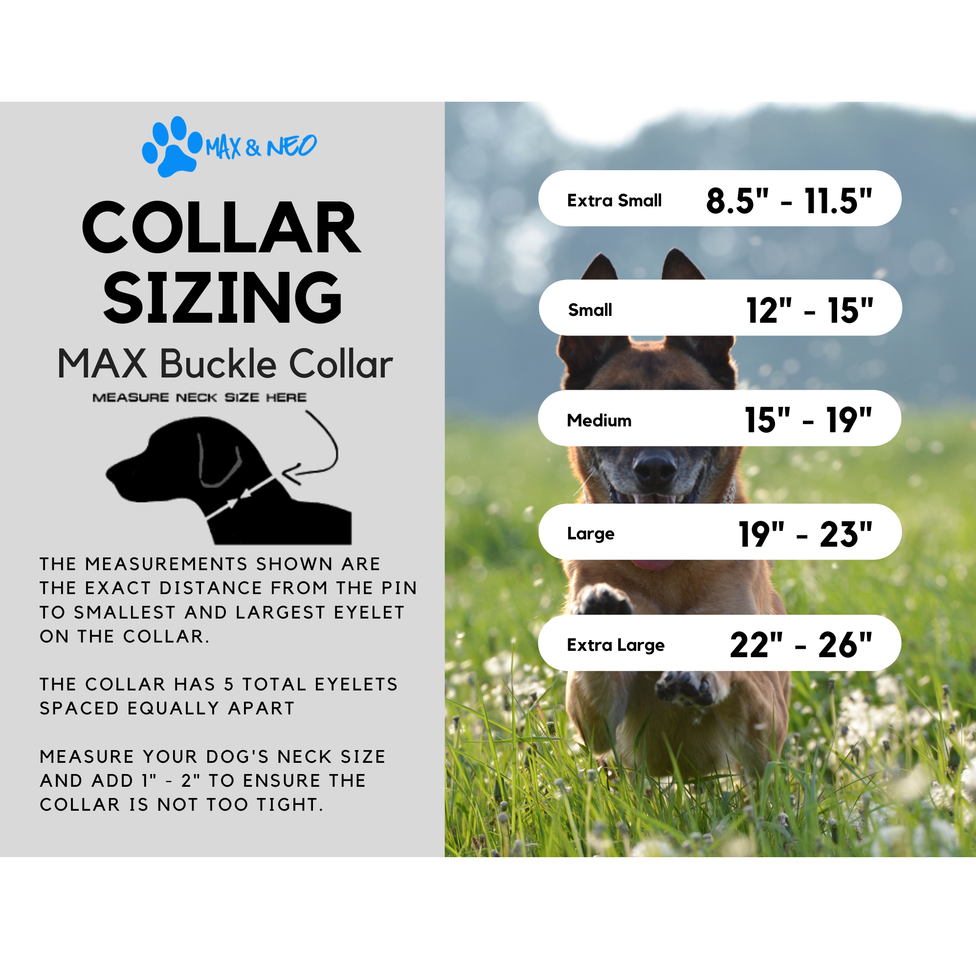 Extra small dog collar size sale