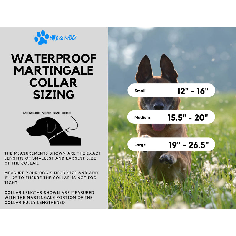 Waterproof Martingale Dog Collar