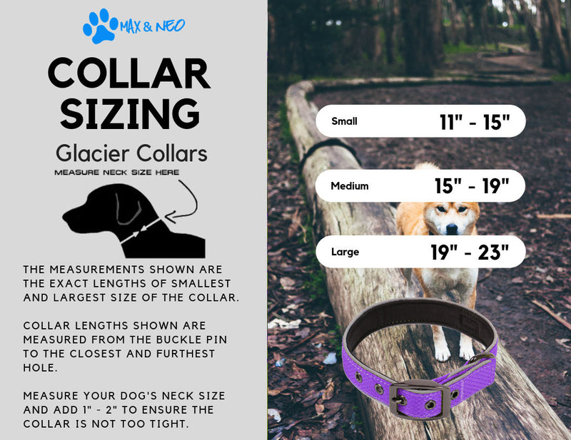 Glacier Dog Collar