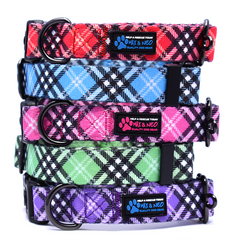 The NEO Dog Collar - Plaid