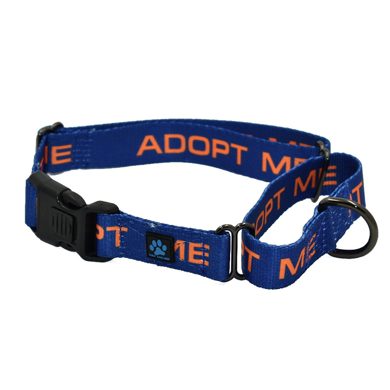 ADOPT ME - Martingale All Nylon Dog Collar