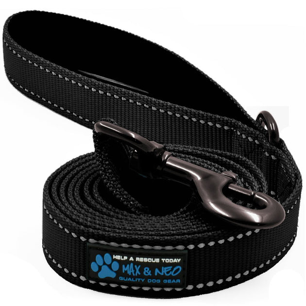 6 FT x 1" Wide Nylon Reflective Dog Leash Max and Neo