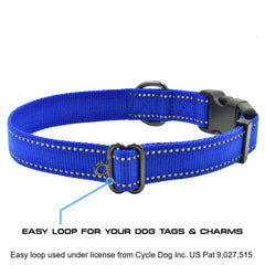 The NEO Dog Collar