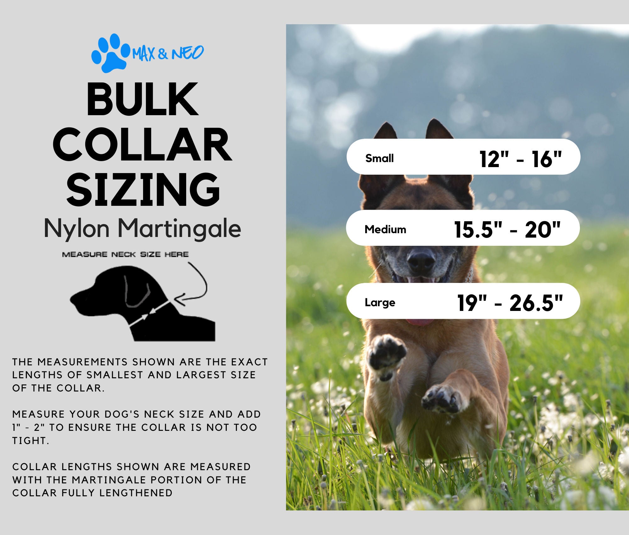 bulk martingale dog collars