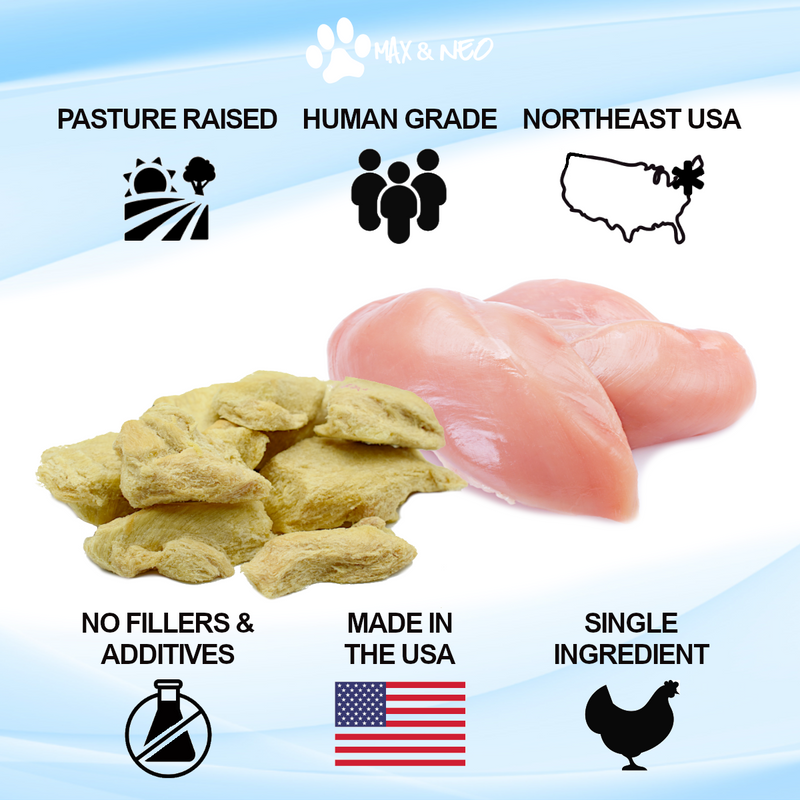 Freeze Dried Chicken Breast Dog Treats