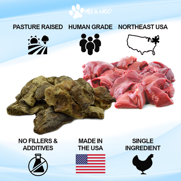 Freeze Dried Chicken Liver Dog Treats Max and Neo