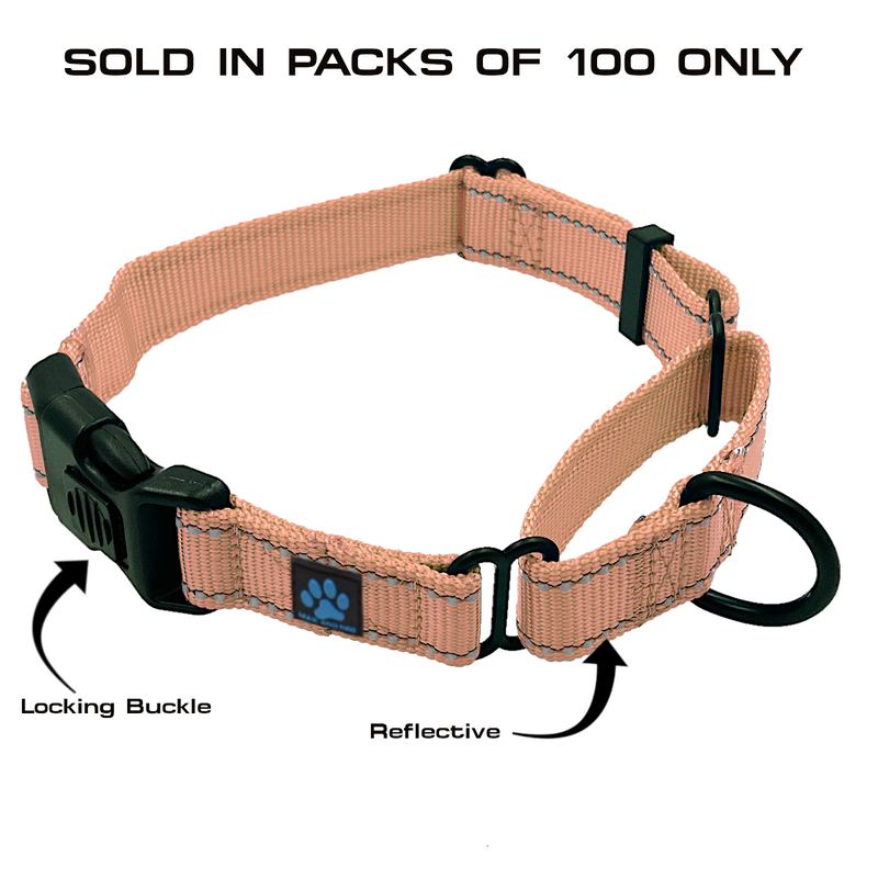 100 Pack - Single Color & Single Size NYLON Martingale Collars