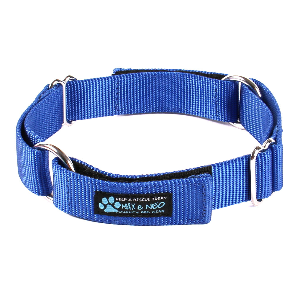 Daycare collar 2025