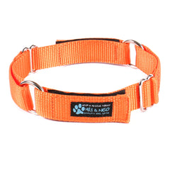 Day Care Velcro Play Collars (6 Pack)