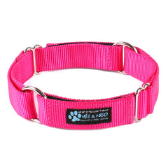 Day Care Velcro Play Collars (6 Pack)