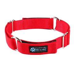 Day Care Velcro Play Collars (6 Pack)