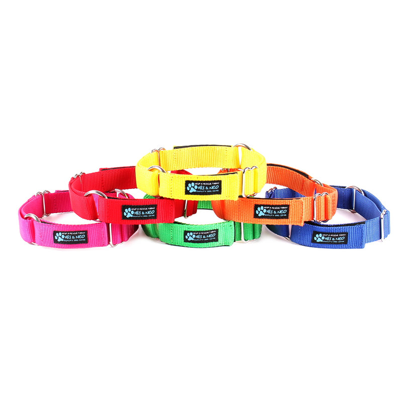 Day Care Velcro Play Collars (6 Pack)