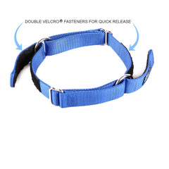 Day Care Velcro Play Collars (6 Pack)