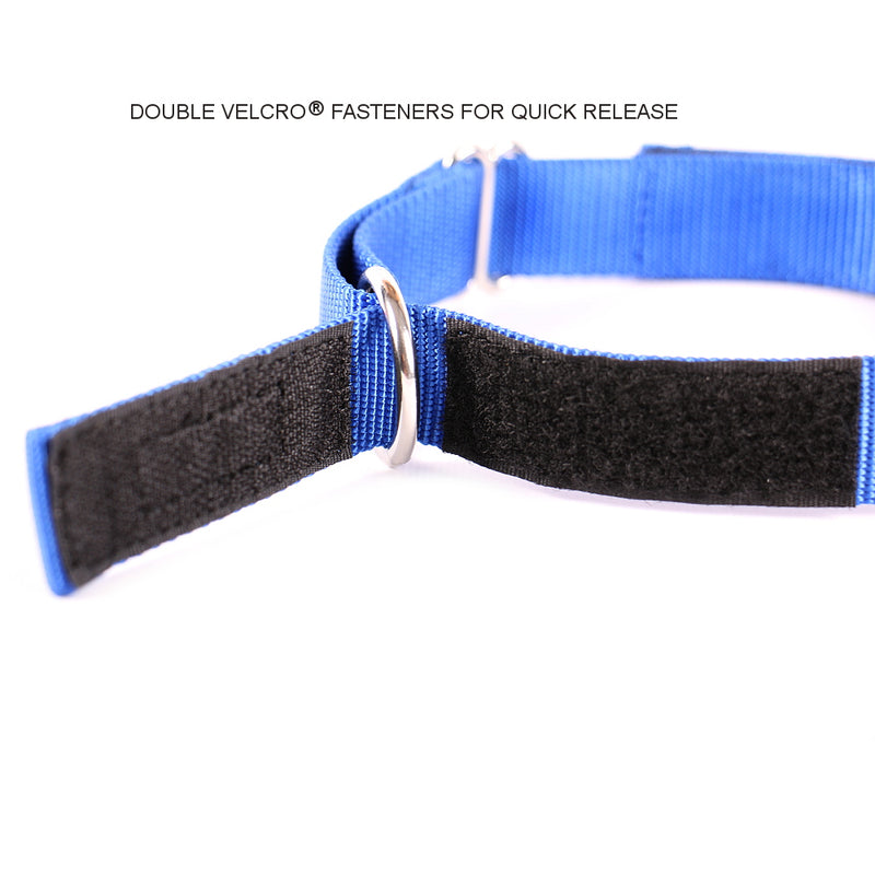 Quick Release Rolled Leather Puppy Collar Bicolored Rolled Leather