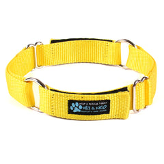 Day Care Velcro Play Collars (6 Pack)