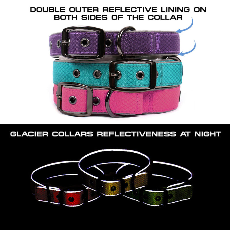 Glacier Dog Collar