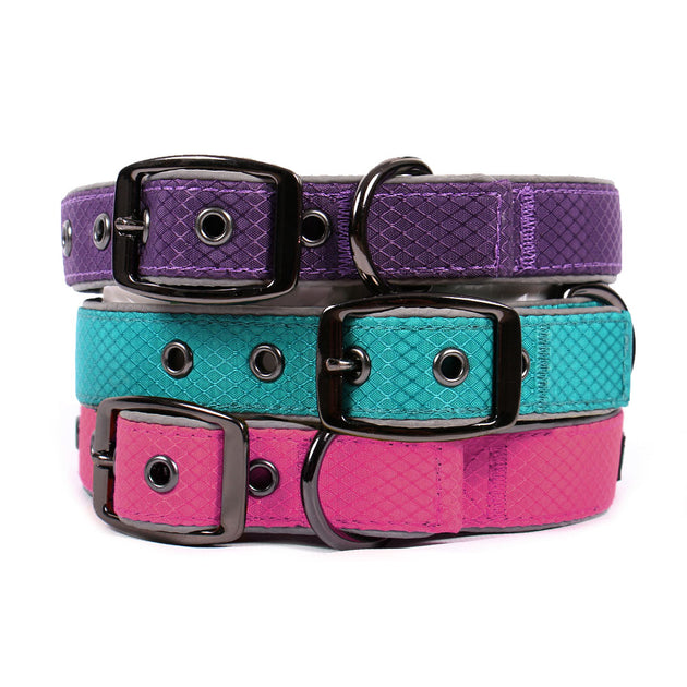 Max And Neo Dog Collars