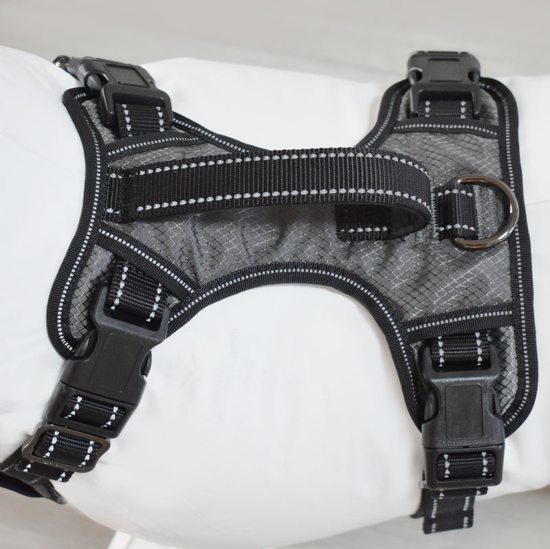 Gunnison Dog Harness