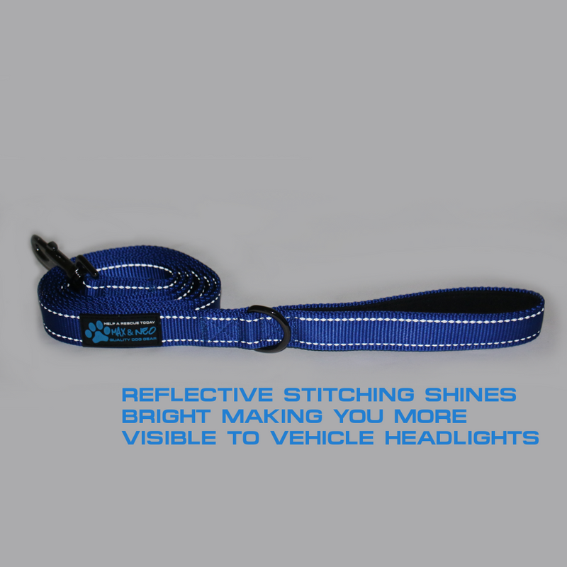 6 FT x 1" Wide Nylon Reflective Dog Leash