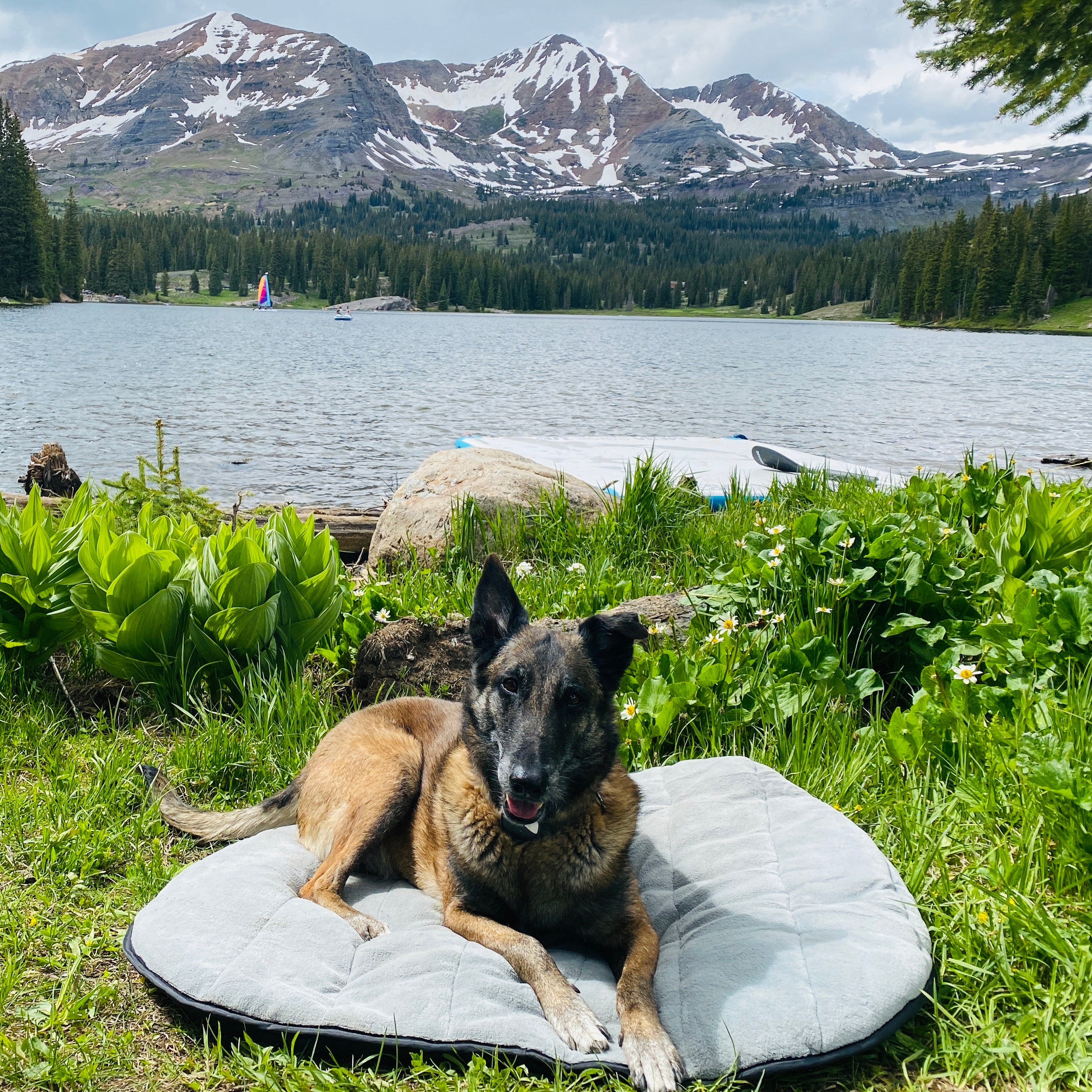 Travel Mate Outdoor Dog Bed