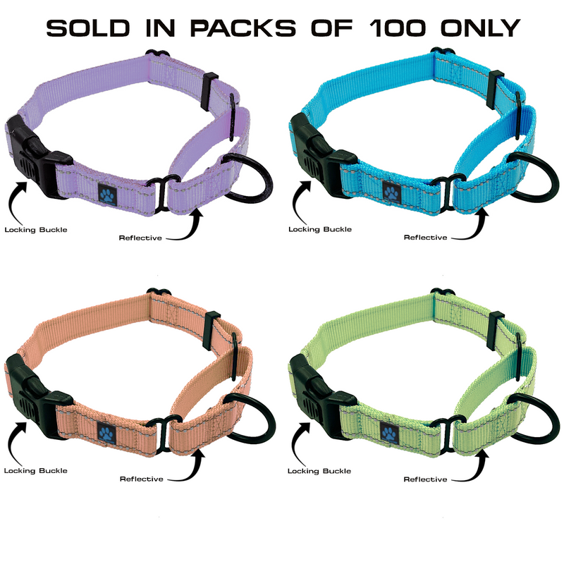 100 Pack - Mixed Color & Mixed Size NYLON Martingale Collars